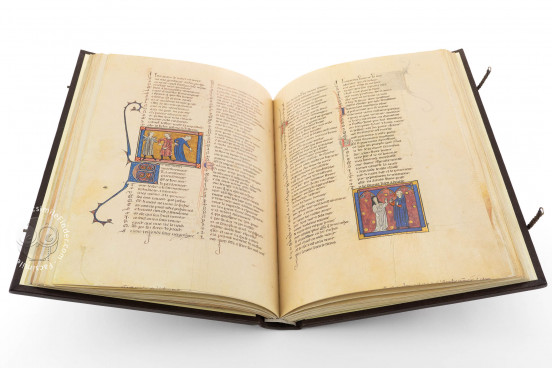 Romance of the Rose of Berthaud d'Achy, Vatican City, Biblioteca Apostolica Vaticana, Urb. lat. 376 − Photo 1