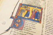 Romance of the Rose of Berthaud d'Achy, Vatican City, Biblioteca Apostolica Vaticana, Urb. lat. 376 − Photo 3