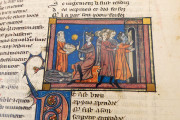 Romance of the Rose of Berthaud d'Achy, Vatican City, Biblioteca Apostolica Vaticana, Urb. lat. 376 − Photo 7