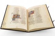 Romance of the Rose of Berthaud d'Achy, Vatican City, Biblioteca Apostolica Vaticana, Urb. lat. 376 − Photo 11