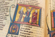 Romance of the Rose of Berthaud d'Achy, Vatican City, Biblioteca Apostolica Vaticana, Urb. lat. 376 − Photo 12