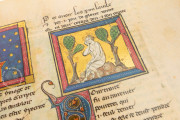 Romance of the Rose of Berthaud d'Achy, Vatican City, Biblioteca Apostolica Vaticana, Urb. lat. 376 − Photo 16