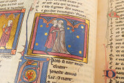 Romance of the Rose of Berthaud d'Achy, Vatican City, Biblioteca Apostolica Vaticana, Urb. lat. 376 − Photo 18