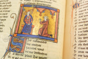 Romance of the Rose of Berthaud d'Achy, Vatican City, Biblioteca Apostolica Vaticana, Urb. lat. 376 − Photo 20