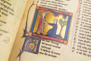 Romance of the Rose of Berthaud d'Achy, Vatican City, Biblioteca Apostolica Vaticana, Urb. lat. 376 − Photo 21