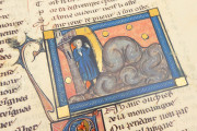 Romance of the Rose of Berthaud d'Achy, Vatican City, Biblioteca Apostolica Vaticana, Urb. lat. 376 − Photo 25