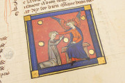 Romance of the Rose of Berthaud d'Achy, Vatican City, Biblioteca Apostolica Vaticana, Urb. lat. 376 − Photo 26