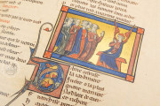 Romance of the Rose of Berthaud d'Achy, Vatican City, Biblioteca Apostolica Vaticana, Urb. lat. 376 − Photo 27