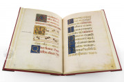 The Crowning Ceremonial of Emperor Charles V, Vatican City, Biblioteca Apostolica Vaticana, Borg. lat. 420 − Photo 6