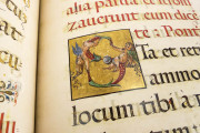 The Crowning Ceremonial of Emperor Charles V, Vatican City, Biblioteca Apostolica Vaticana, Borg. lat. 420 − Photo 10