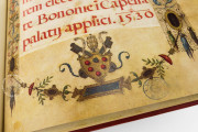 The Crowning Ceremonial of Emperor Charles V, Vatican City, Biblioteca Apostolica Vaticana, Borg. lat. 420 − Photo 11