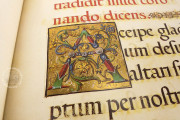 The Crowning Ceremonial of Emperor Charles V, Vatican City, Biblioteca Apostolica Vaticana, Borg. lat. 420 − Photo 15
