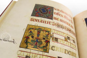 The Crowning Ceremonial of Emperor Charles V, Vatican City, Biblioteca Apostolica Vaticana, Borg. lat. 420 − Photo 16