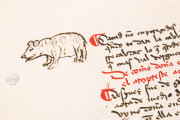 Book of Good Love, Salamanca, Biblioteca de la Universidad de Salamanca, ms. 2663 − Photo 3