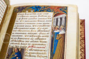 Book of Hours of Guyot Le Peley, Troyes, Bibliothèque Municipale de Troyes, Ms. 3901 − Photo 3