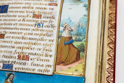 Book of Hours of Guyot Le Peley, Troyes, Bibliothèque Municipale de Troyes, Ms. 3901 − Photo 10