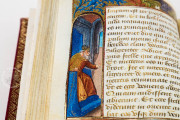 Book of Hours of Guyot Le Peley, Troyes, Bibliothèque Municipale de Troyes, Ms. 3901 − Photo 12