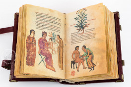 Codex of Medicine of Frederick II Facsimile Edition