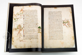 Codex Rustici Facsimile Edition