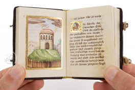 Preces Propriae Singulis Horis Diei et Noctis Facsimile Edition