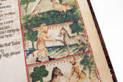 Aesop's Fables, Bologna, Biblioteca Universitaria di Bologna, Ms. 1213 − Photo 10