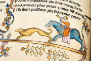 Roman d’Alexandre, Oxford, Bodleian Library, Bodley 264 − Photo 4