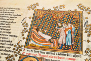 Roman d’Alexandre, Oxford, Bodleian Library, Bodley 264 − Photo 15