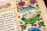 Oxford Decameron, Oxford, Bodleian Library, misc. 49 − Photo 13