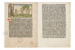 Boner: The Gemstone Facsimile Edition