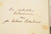 De Balneis Puteolanis, Rome, Biblioteca Angelica, Ms. 1474 − Photo 15