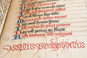 Codex Oliveriano I, Pesaro, Biblioteca Oliveriana, Ms. I − Photo 8