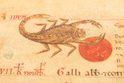 Liber Magistri, Piacenza, Archivio Capitolare della Cattedrale − Photo 7