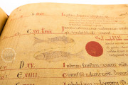 Liber Magistri, Piacenza, Archivio Capitolare della Cattedrale − Photo 15