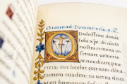 Book of Hours of Margaret of Austria and Alessandro de' Medici, Rome, Biblioteca dell'Accademia Nazionale dei Lincei e Corsiniana, ms. 55.K.16 (Cors. 1232) − Photo 13