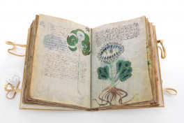 Voynich Manuscript Facsimile Edition