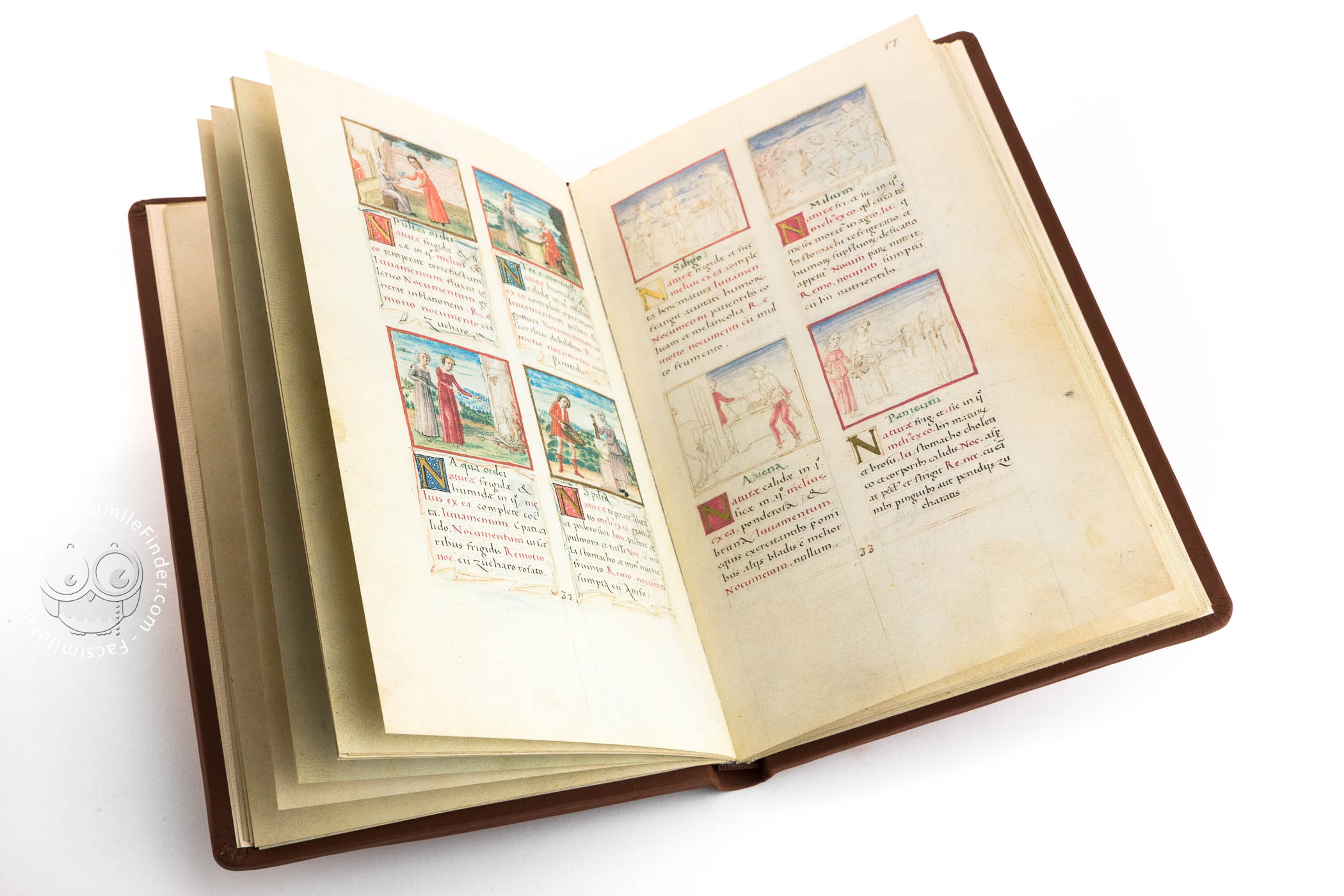 Tacuinum Sanitatis « Facsimile edition