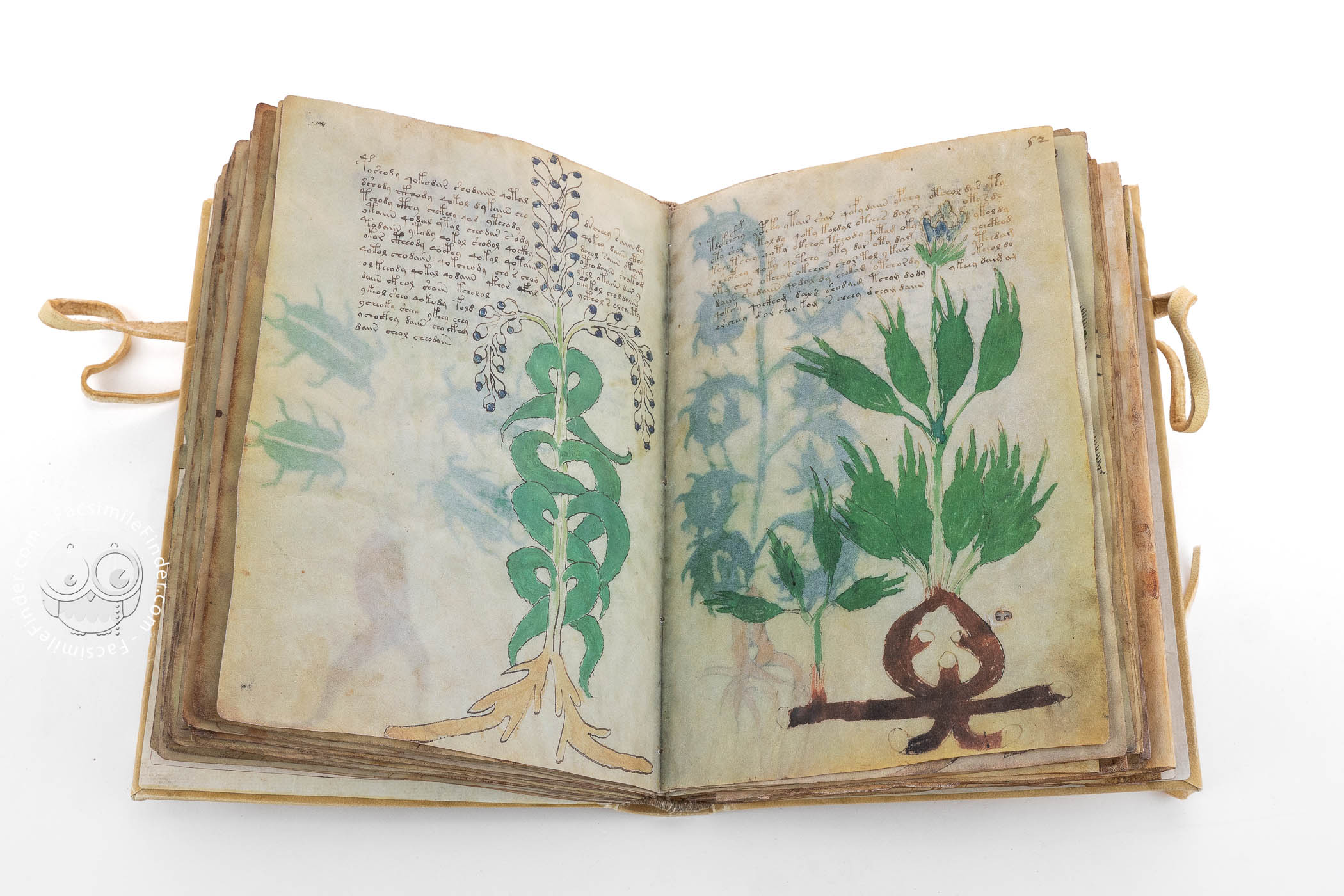book manuscript